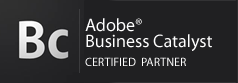 adobe business catalyst