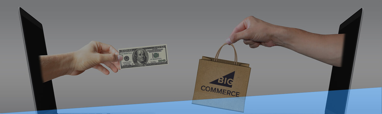 Bigcommerce Web Development Banner