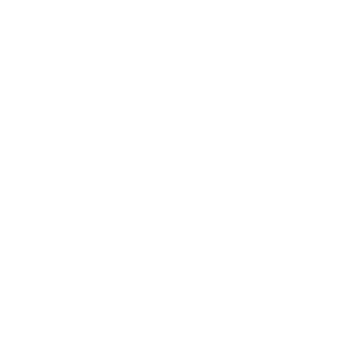 wordpress seo white