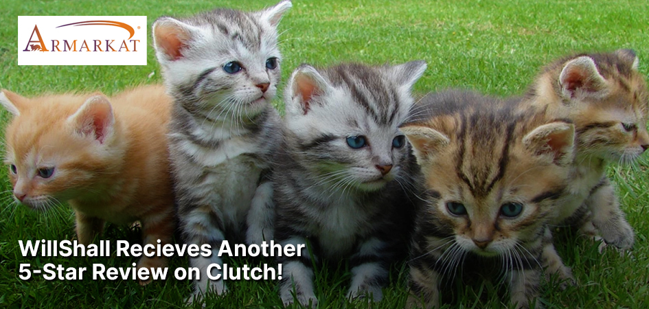 WillShall Recieves Another 5-Star Review on Clutch!