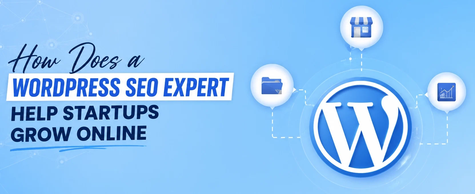 How Does a WordPress SEO Expert Help Startups Grow Online