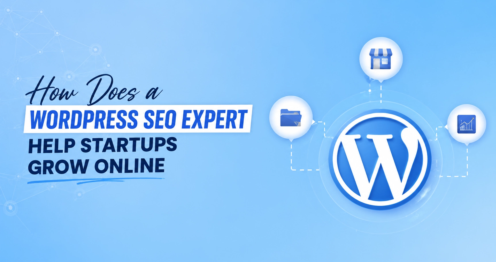 How Does a WordPress SEO Expert Help Startups Grow Online