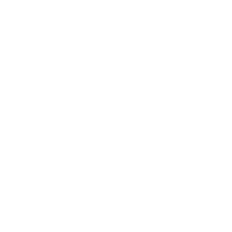 WordPress Sites Completed