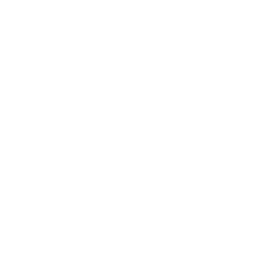 Shopify Stores Delivered