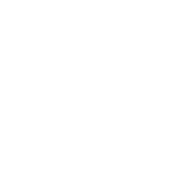 In-House Professionals