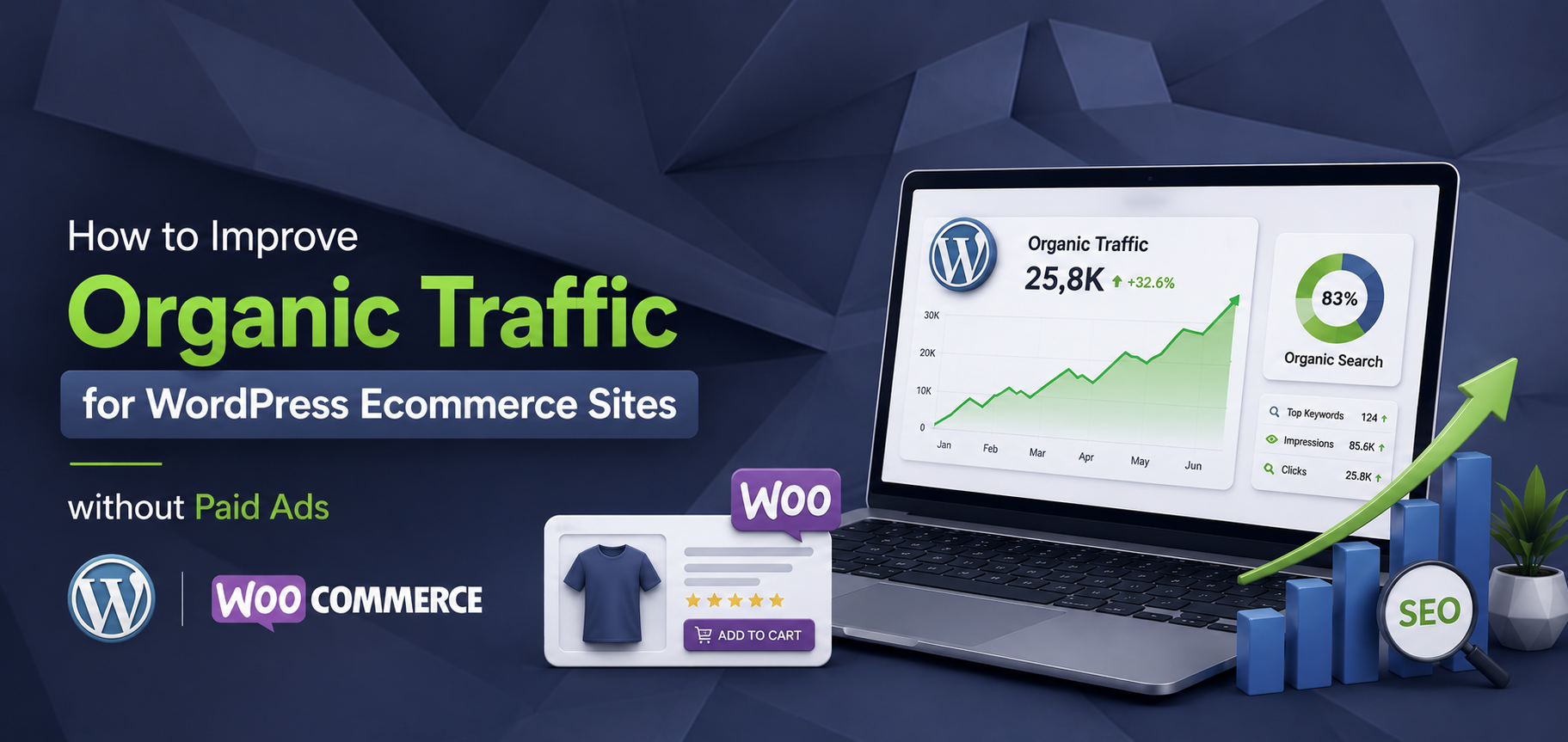 How to Improve Organic Traffic for WordPress Ecommerce Sites without Paid Ads
