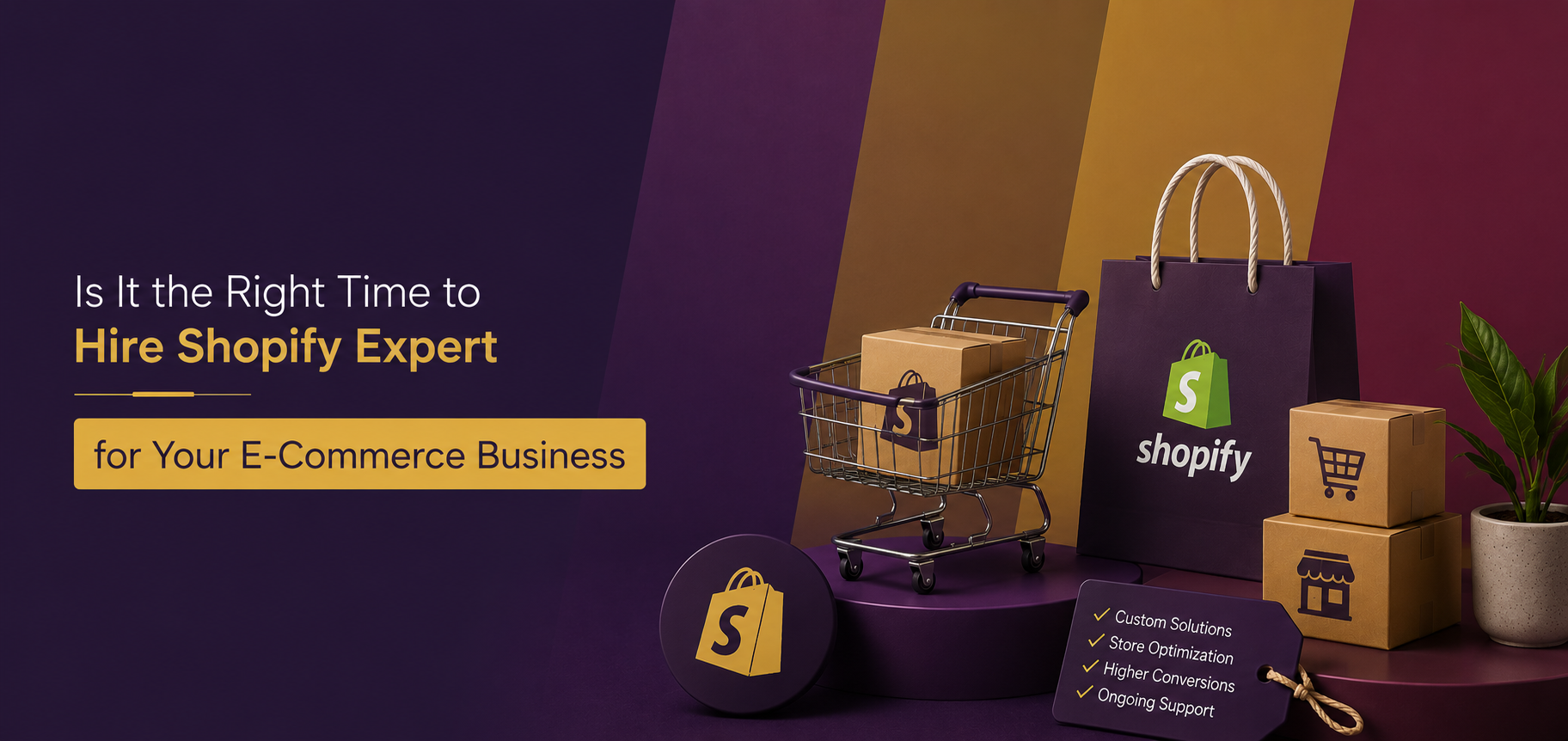Is It the Right Time to Hire Shopify Expert for Your Ecommerce Business?