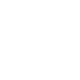 Mobile-first shopping continues to dominate buyer behavior