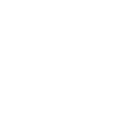Local SEO to capture Dallas-based search intent