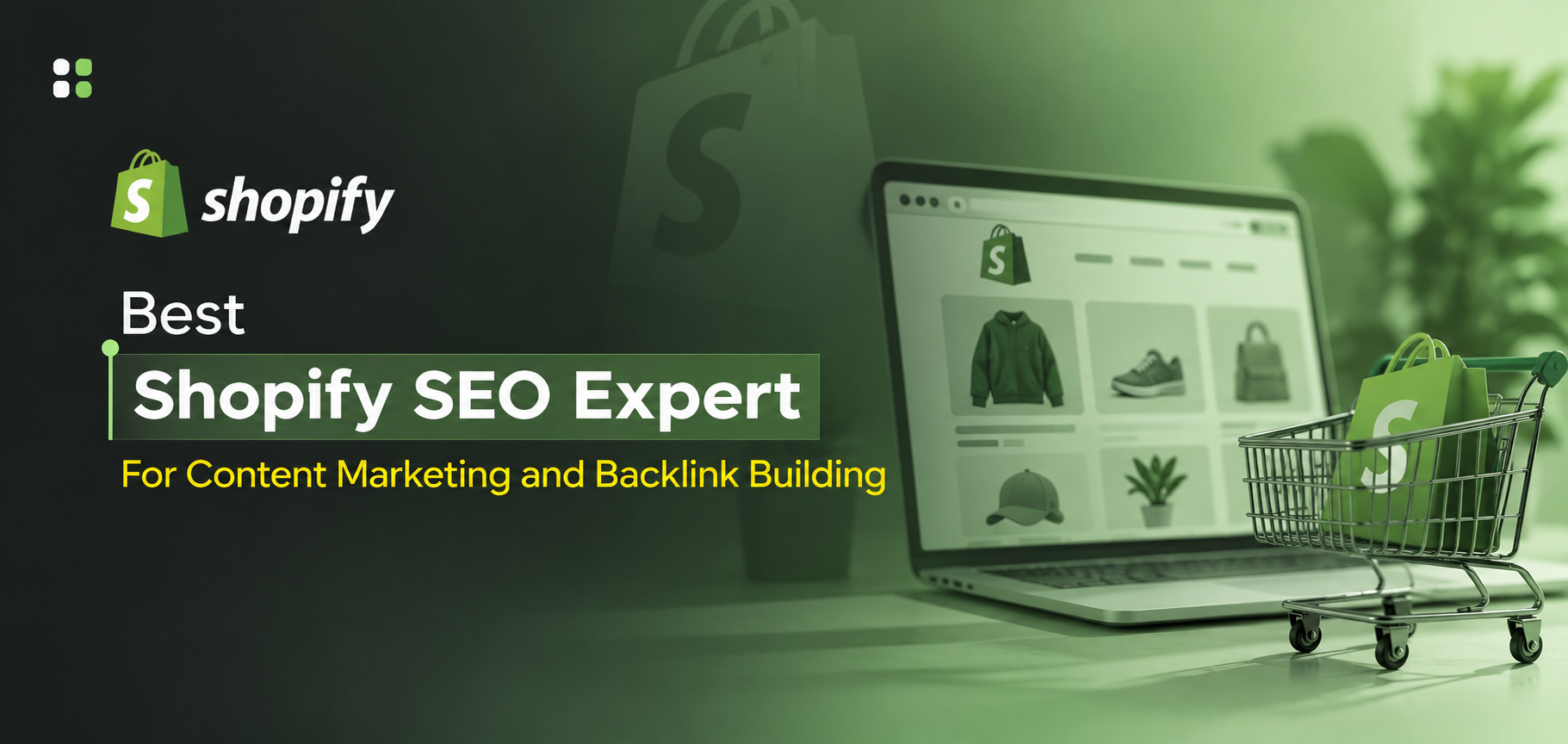 Best Shopify SEO Expert for Content Marketing and Backlink Building